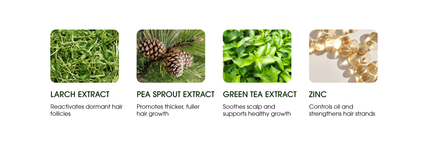 Active Ingredients Infographic